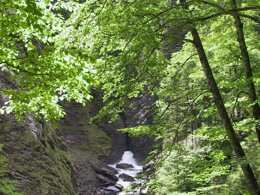 Naturwunderweg in Au-Schoppernau im Bregenzerwald